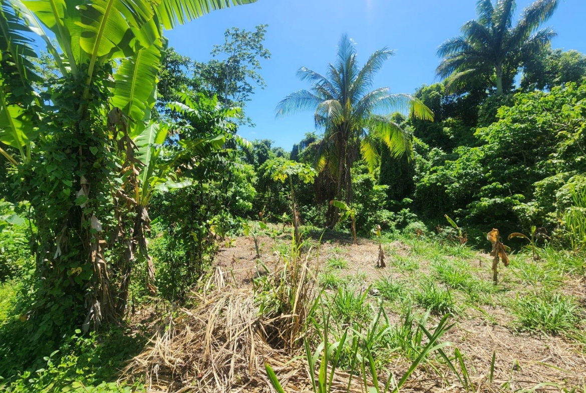 Third image of 108 Phillips Avenue in Lyssons, St. Thomas, Jamaica - property is For Sale