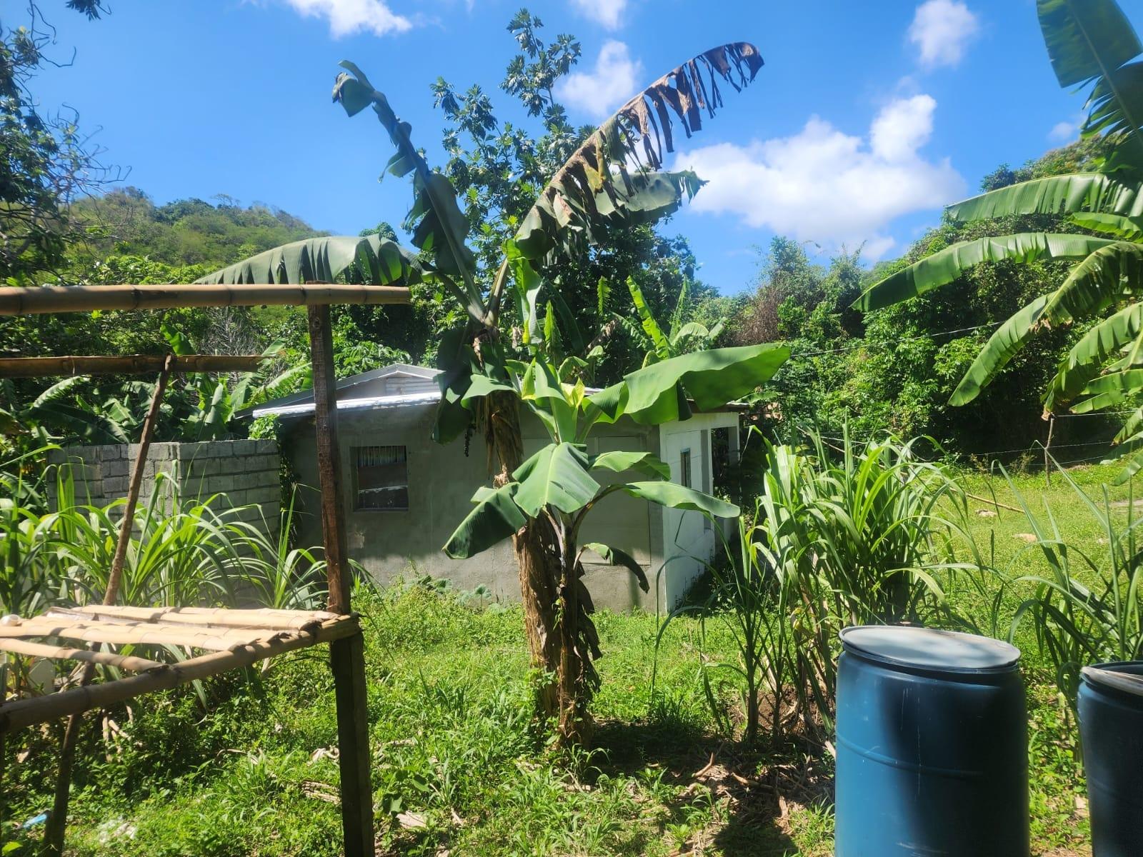 Charming-House-for-Sale-on-12-Acre-Near-Lyssons-Beach-St.-Thomas-Jamaica Sixth image of 108 Phillips Avenue in Lyssons, St. Thomas, Jamaica - property is For Sale