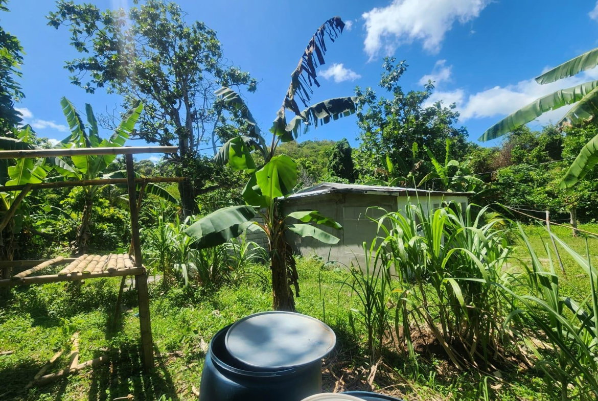 Seventh image of 108 Phillips Avenue in Lyssons, St. Thomas, Jamaica - property is For Sale