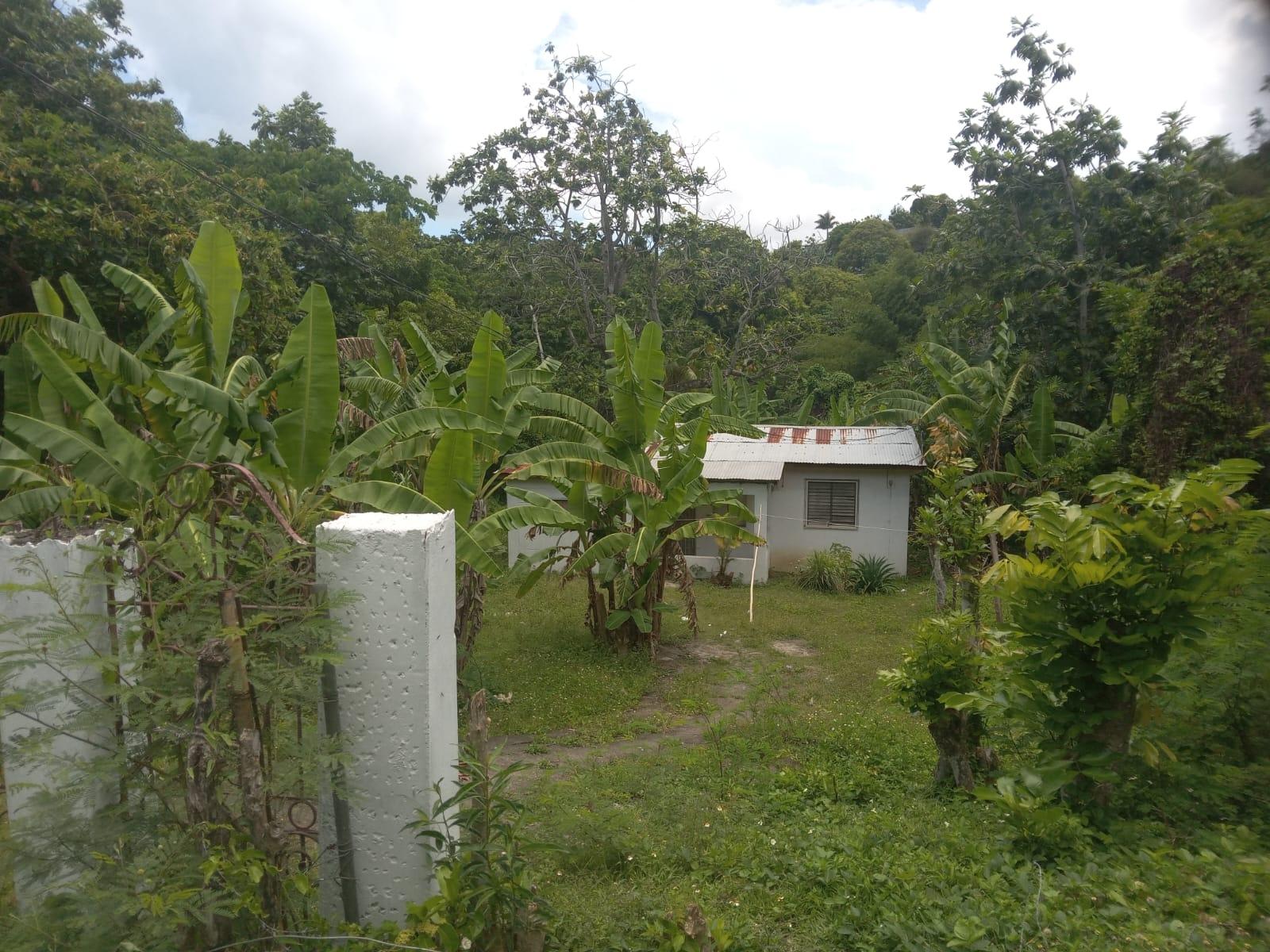 Charming-House-for-Sale-on-12-Acre-Near-Lyssons-Beach-St.-Thomas-Jamaica Eighth image of 108 Phillips Avenue in Lyssons, St. Thomas, Jamaica - property is For Sale