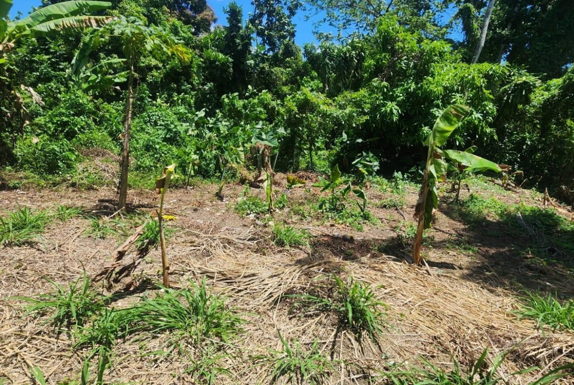 Tenth image of 108 Phillips Avenue in Lyssons, St. Thomas, Jamaica - property is For Sale