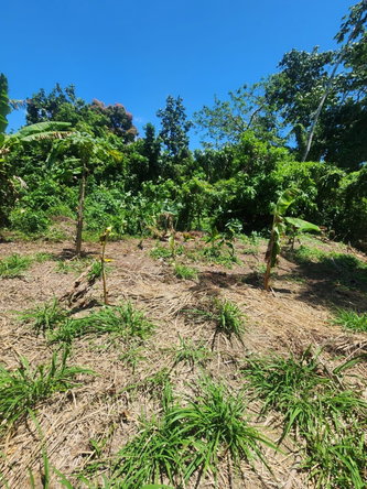 Tenth image of 108 Phillips Avenue in Lyssons, St. Thomas, Jamaica - property is For Sale