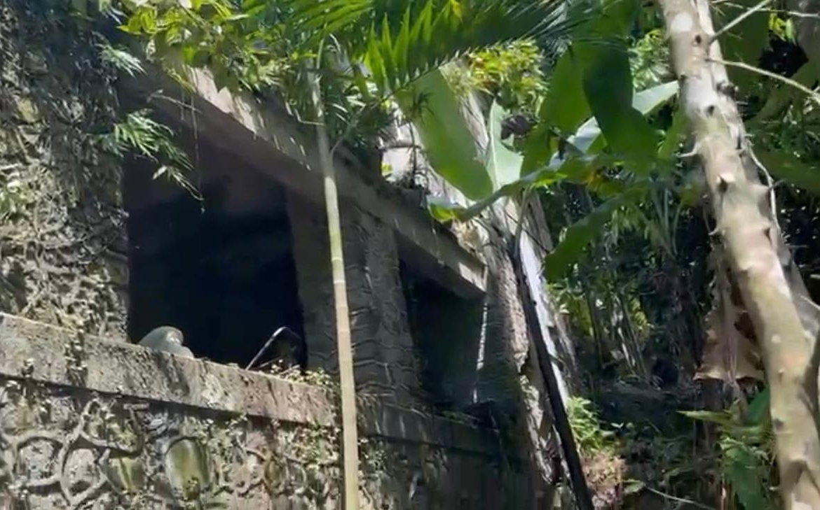 Fourth image of Langley Mount James in Golden Spring P.O., St. Andrew, Jamaica - property is For Sale
