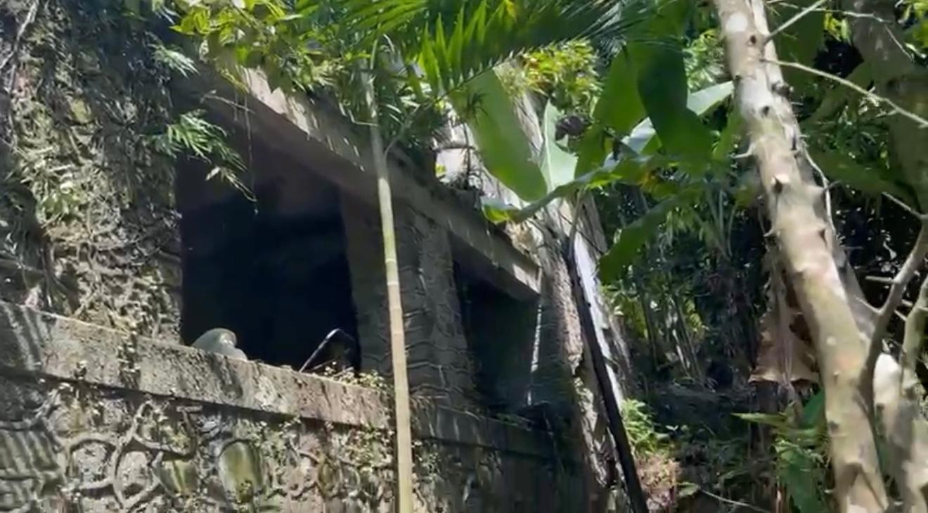 Fourth image of Langley Mount James in Golden Spring P.O., St. Andrew, Jamaica - property is For Sale