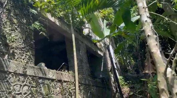 Fourth image of Langley Mount James in Golden Spring P.O., St. Andrew, Jamaica - property is For Sale