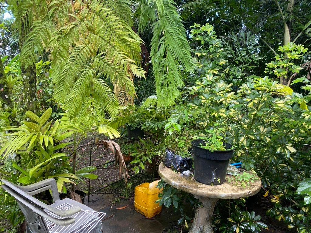 Sixth image of Langley Mount James in Golden Spring P.O., St. Andrew, Jamaica - property is For Sale