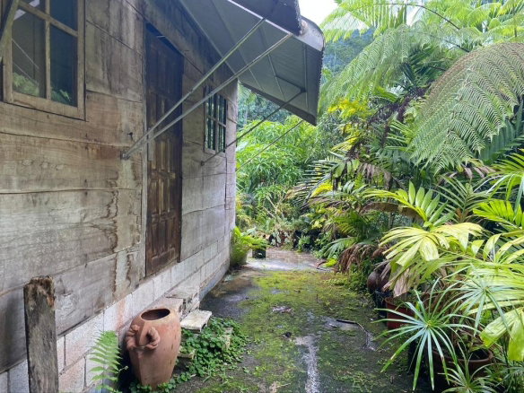 First image of Langley Mount James in Golden Spring P.O., St. Andrew, Jamaica - property is For Sale