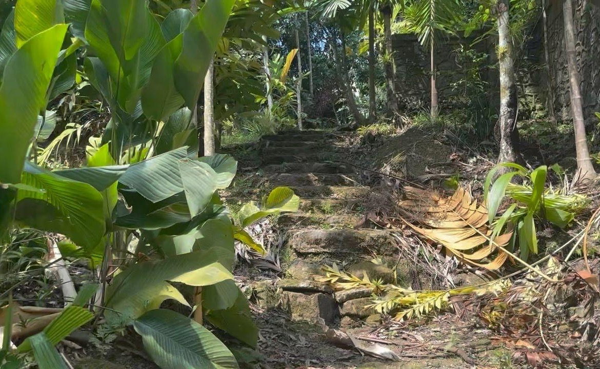 Seventh image of Langley Mount James in Golden Spring P.O., St. Andrew, Jamaica - property is For Sale