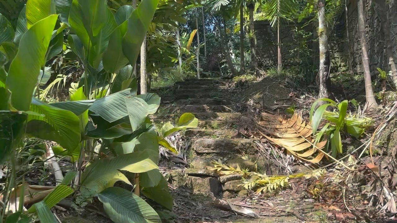Seventh image of Langley Mount James in Golden Spring P.O., St. Andrew, Jamaica - property is For Sale