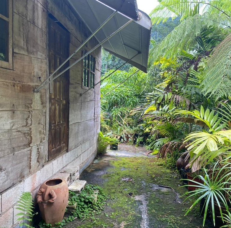 First image of Langley Mount James in Golden Spring P.O., St. Andrew, Jamaica - property is For Sale
