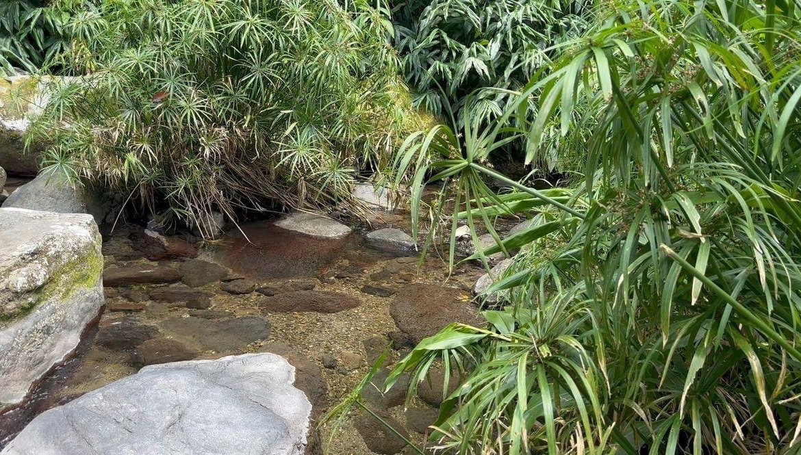 Ninth image of Langley Mount James in Golden Spring P.O., St. Andrew, Jamaica - property is For Sale