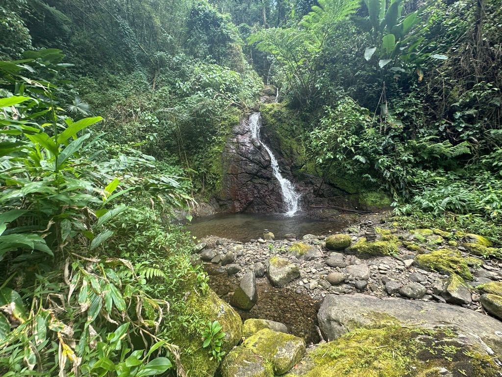Tenth image of Langley Mount James in Golden Spring P.O., St. Andrew, Jamaica - property is For Sale