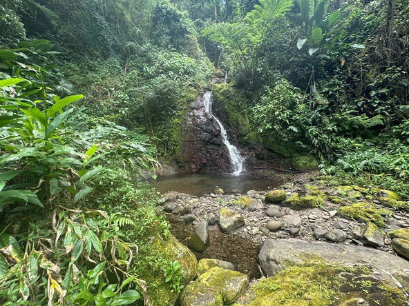 Tenth image of Langley Mount James in Golden Spring P.O., St. Andrew, Jamaica - property is For Sale