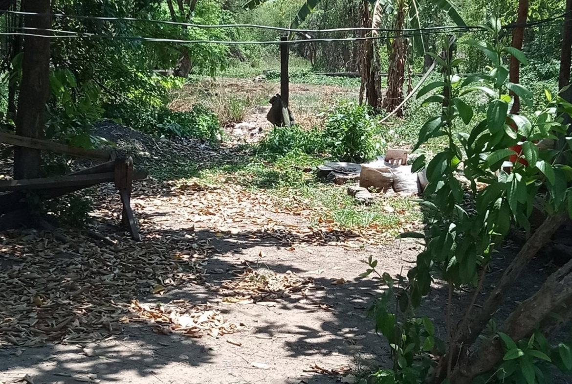 Fifth image of 137 Denbigh Foga Road in YORK TOWN, Clarendon, Jamaica - property is For Sale