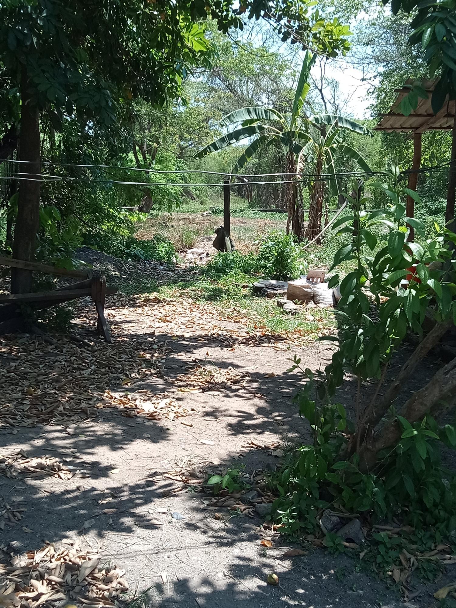 Fifth image of 137 Denbigh Foga Road in YORK TOWN, Clarendon, Jamaica - property is For Sale