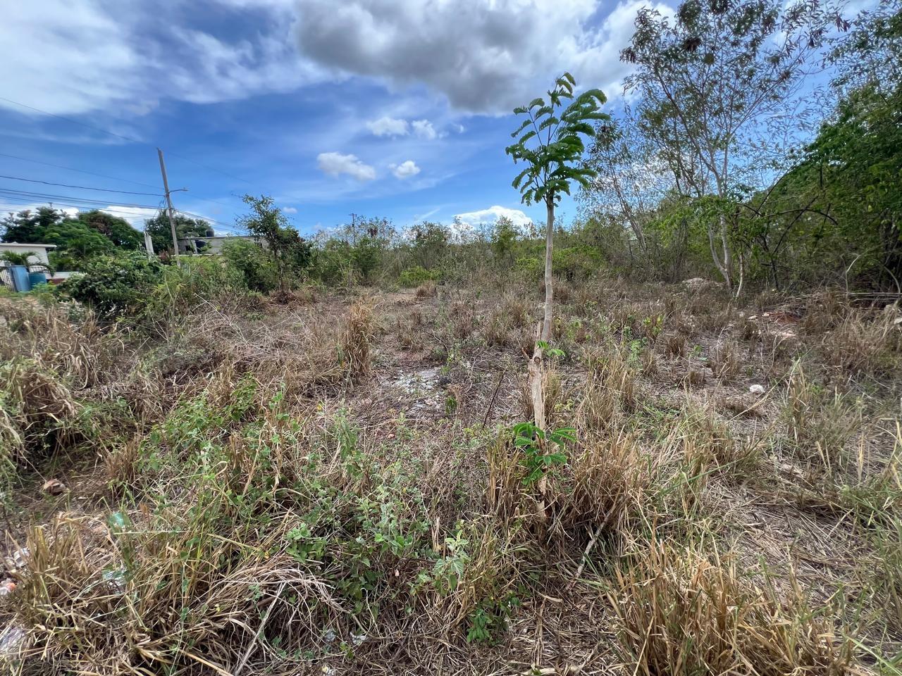 Seventh image of 30 Tate Avenue, st Johns Hgt in Spanish Town, St. Catherine, Jamaica - property is For Sale