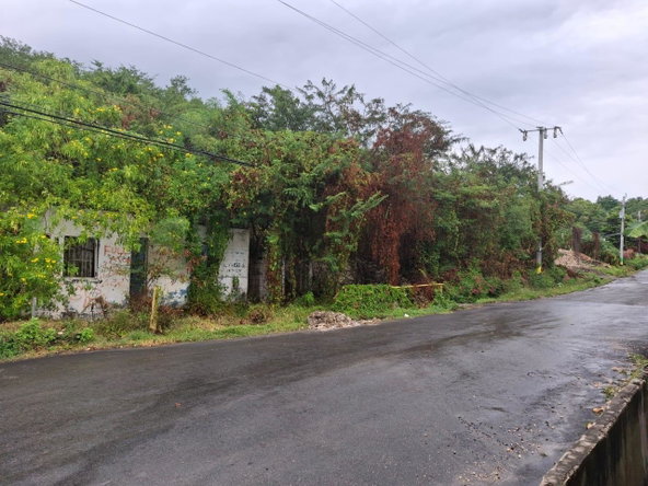 Third image of Lot-42 Botany Heights, St. Thoma in WHITE HORSES, St. Thomas, Jamaica - property is For Sale