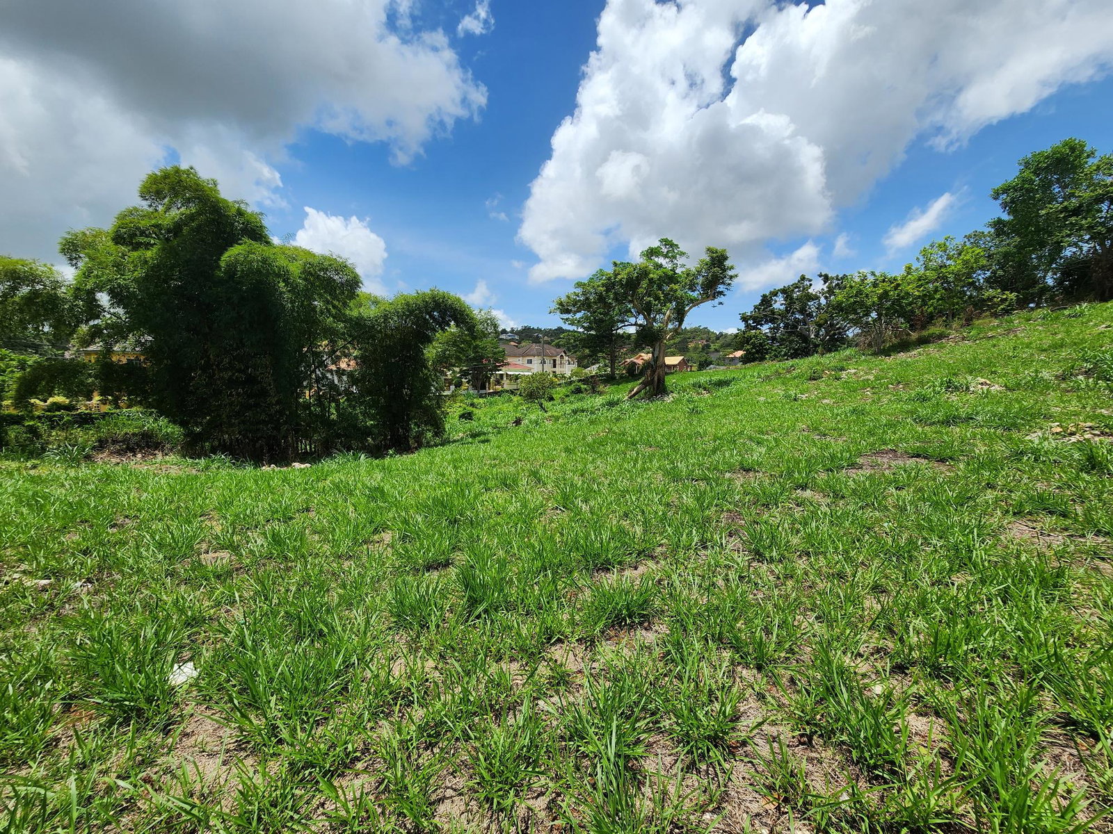 Fifteenth image of Kurt Close in Mandeville, Manchester, Jamaica - property is For Sale