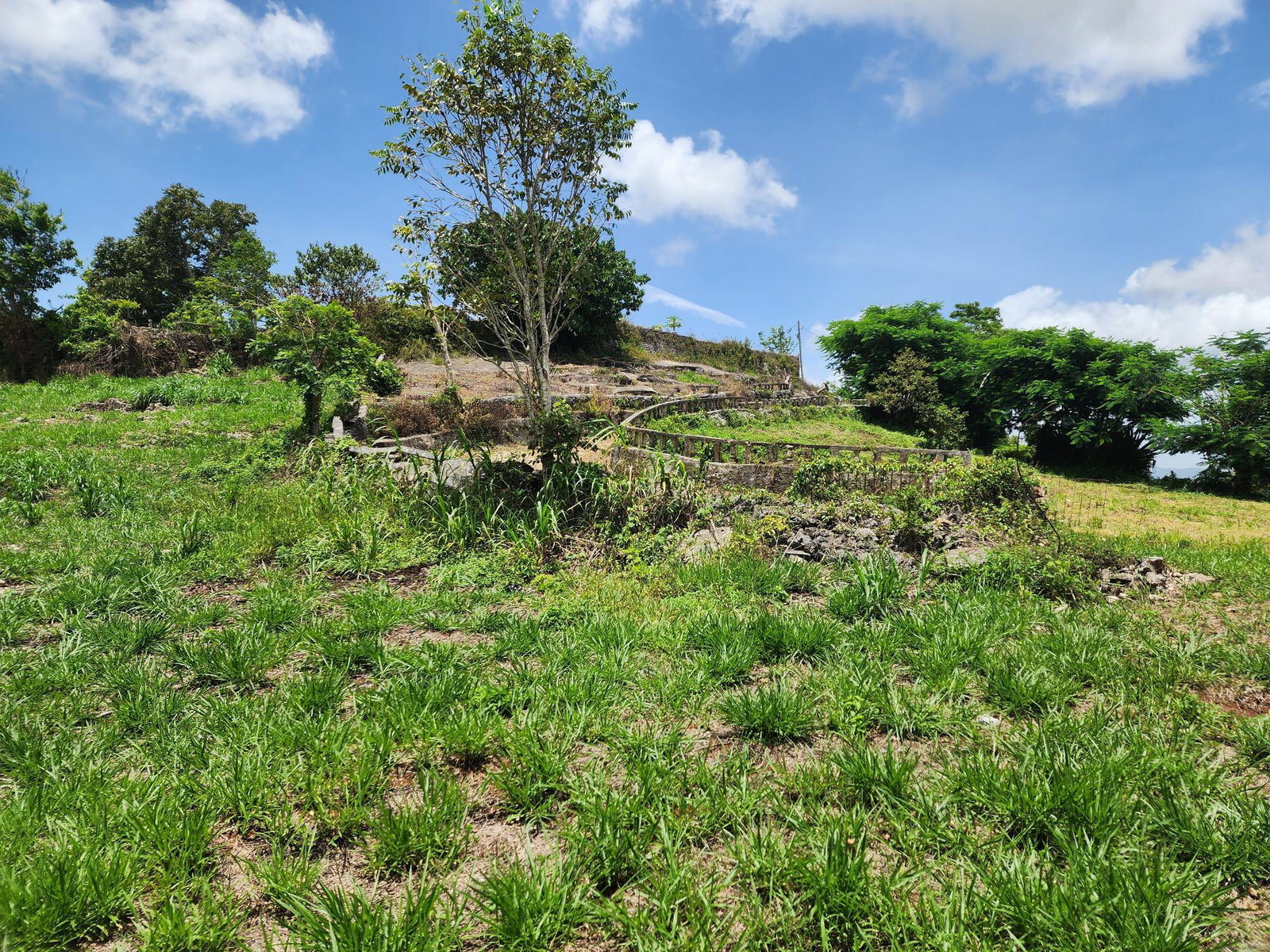 Sixteenth image of Kurt Close in Mandeville, Manchester, Jamaica - property is For Sale