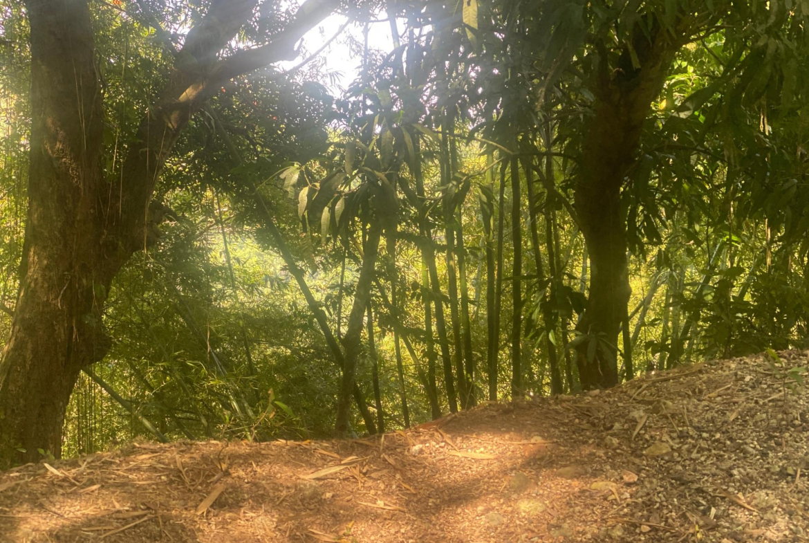Third image of Dressikie in Lambkin Hill, St. Mary, Jamaica - property is For Sale