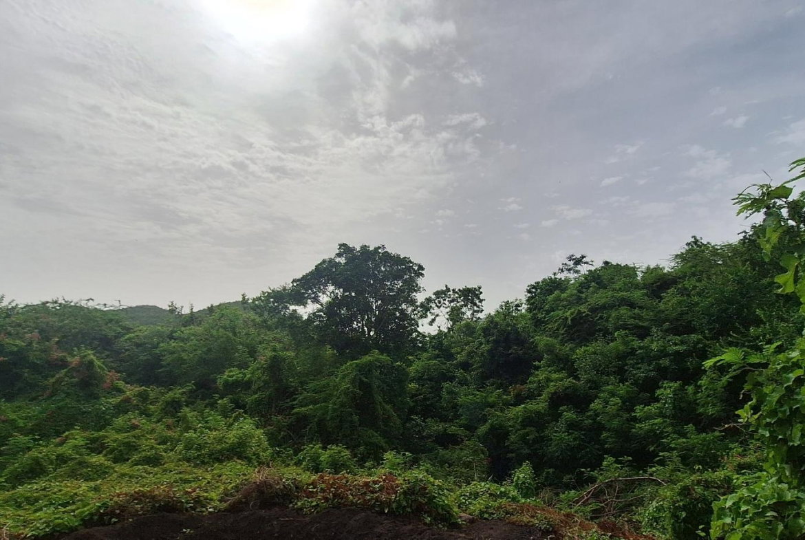 Second image of Eleven Miles, Bull Bay in Bull Bay, St. Thomas, Jamaica - property is For Sale