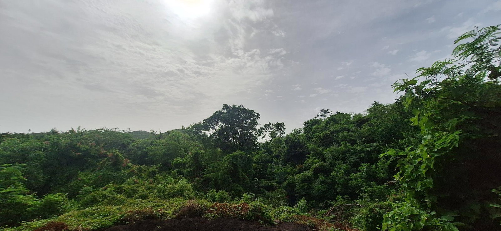 Development-Land-for-Sale-in-Eleven-Miles-Bull-Bay-St.-Thomas-Jamaica Second image of Eleven Miles, Bull Bay in Bull Bay, St. Thomas, Jamaica - property is For Sale