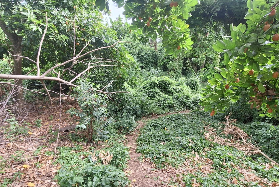 First image of Eleven Miles, Bull Bay in Bull Bay, St. Thomas, Jamaica - property is For Sale