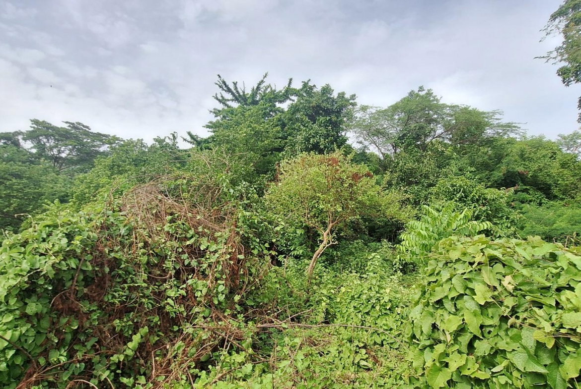 Fourth image of Eleven Miles, Bull Bay in Bull Bay, St. Thomas, Jamaica - property is For Sale