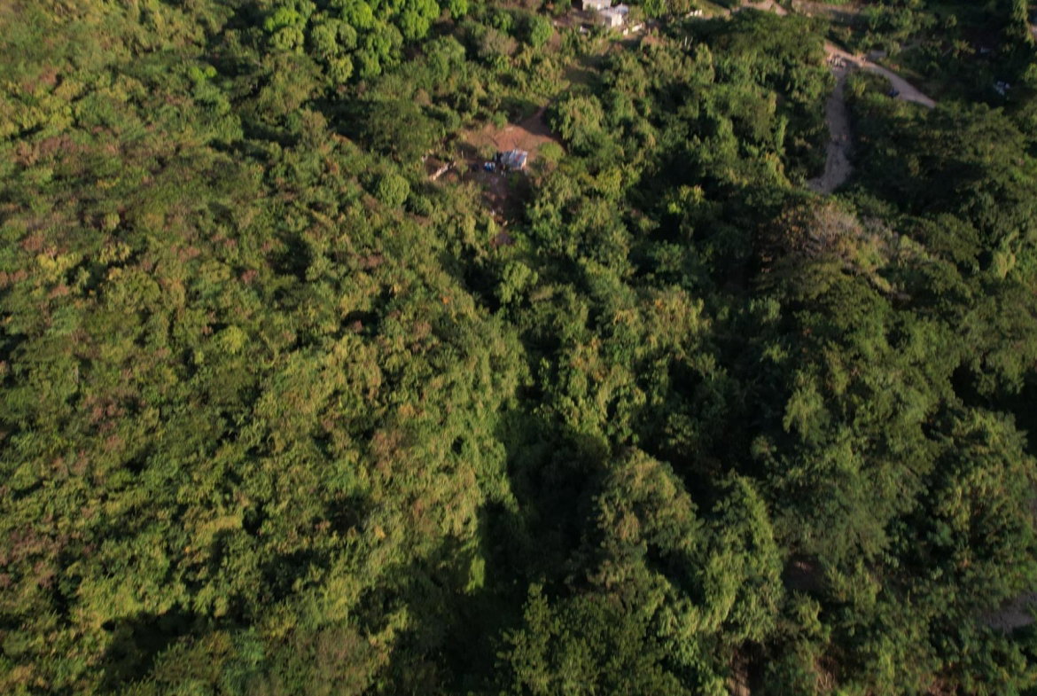 Ninth image of Eleven Miles, Bull Bay in Bull Bay, St. Thomas, Jamaica - property is For Sale