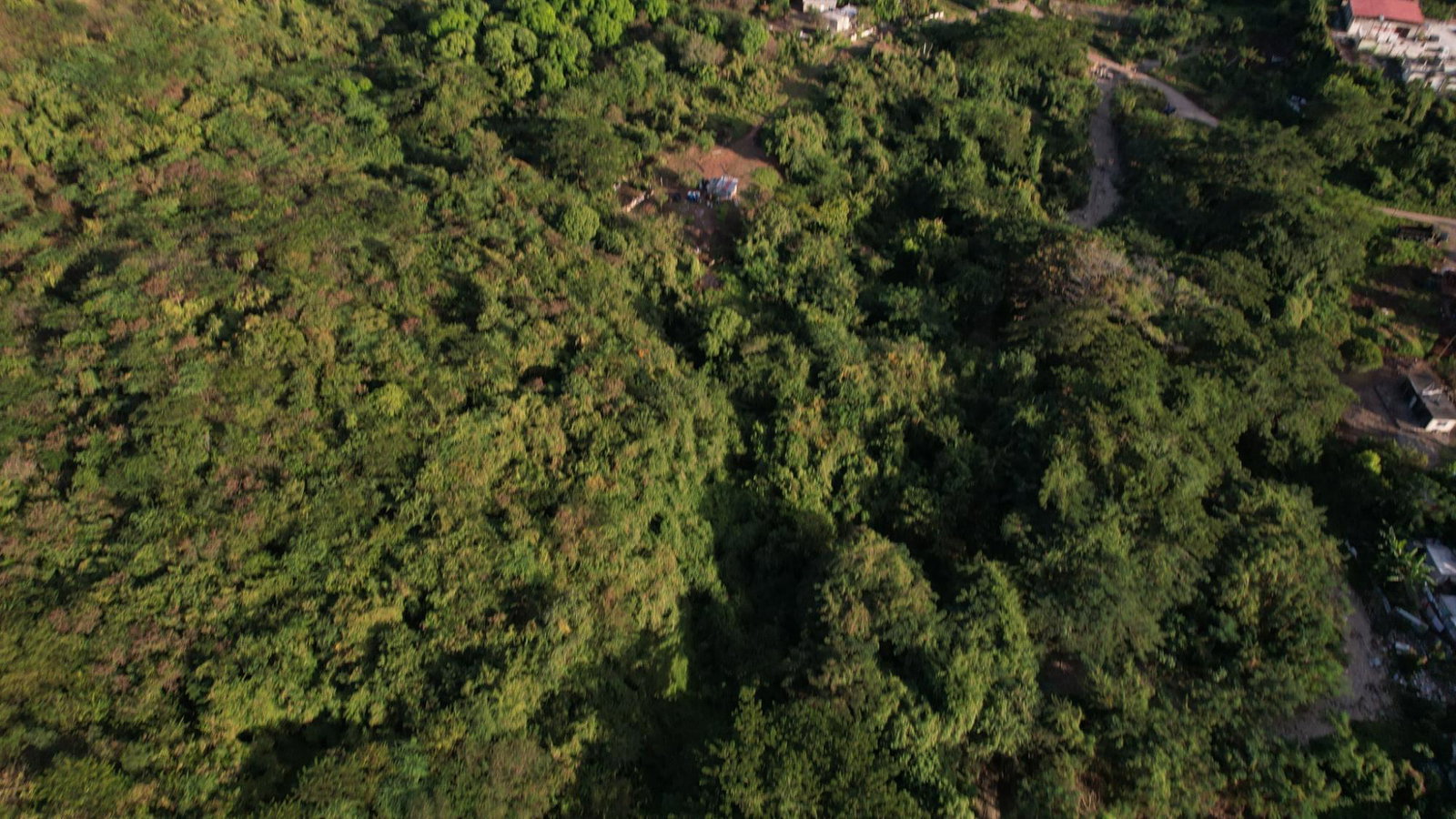 Development-Land-for-Sale-in-Eleven-Miles-Bull-Bay-St.-Thomas-Jamaica Ninth image of Eleven Miles, Bull Bay in Bull Bay, St. Thomas, Jamaica - property is For Sale
