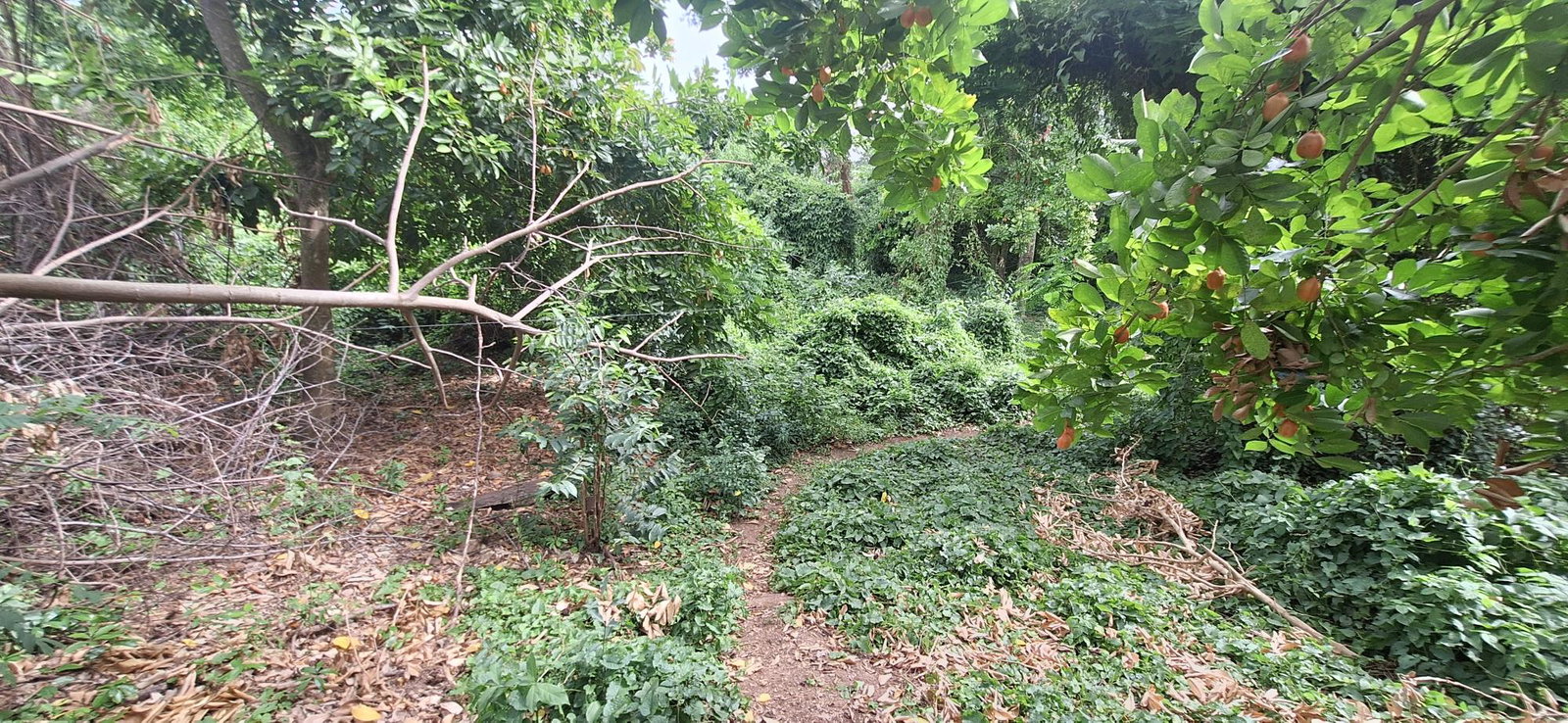 First image of Eleven Miles, Bull Bay in Bull Bay, St. Thomas, Jamaica - property is For Sale