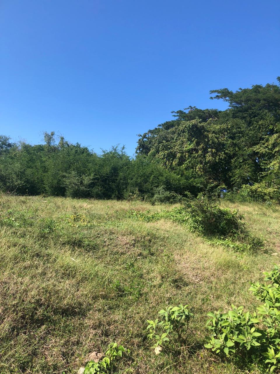 Sixth image of 89 Haughton Court in Lucea, Hanover, Jamaica - property is For Sale