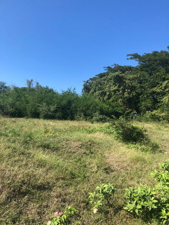 Sixth image of 89 Haughton Court in Lucea, Hanover, Jamaica - property is For Sale
