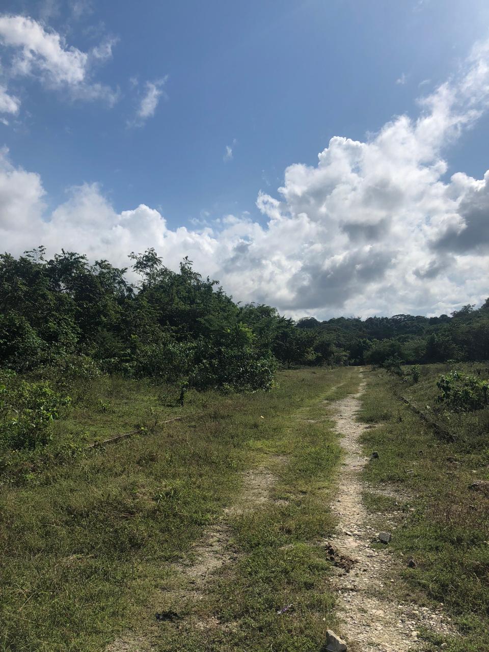 Ninth image of 89 Haughton Court in Lucea, Hanover, Jamaica - property is For Sale