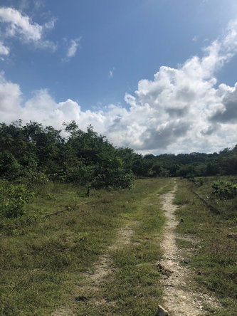 Ninth image of 89 Haughton Court in Lucea, Hanover, Jamaica - property is For Sale