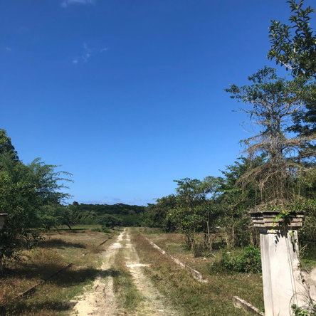 Tenth image of 89 Haughton Court in Lucea, Hanover, Jamaica - property is For Sale