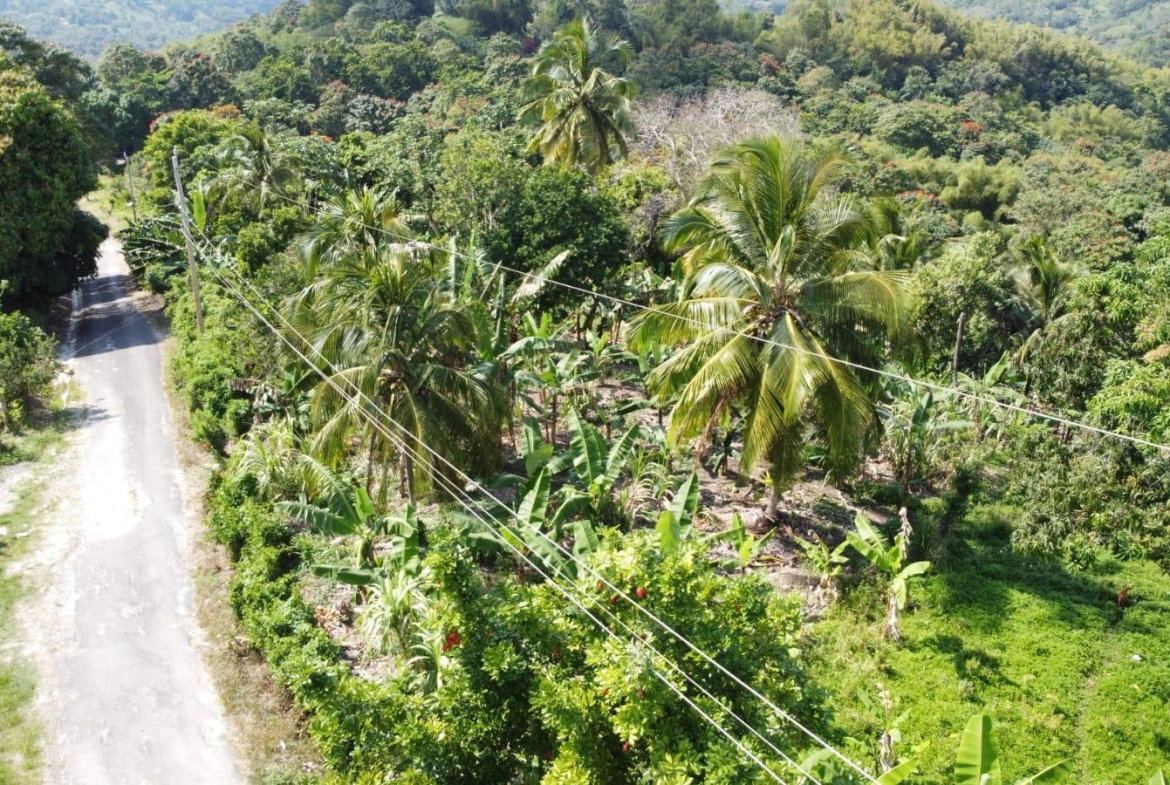 First image of Lambkin Hill/ Marlie in Lambkin Hill, St. Mary, Jamaica - property is For Sale