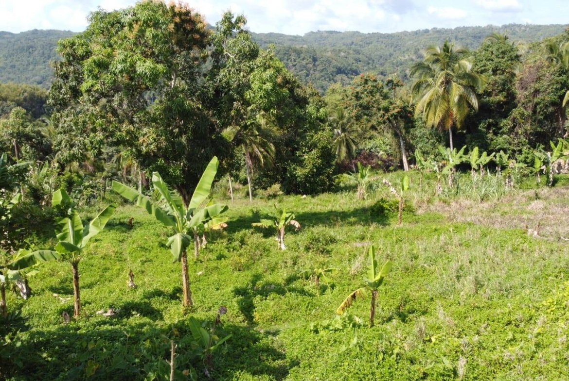 Third image of Lambkin Hill/ Marlie in Lambkin Hill, St. Mary, Jamaica - property is For Sale