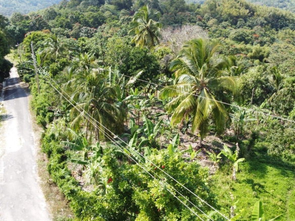 First image of Lambkin Hill/ Marlie in Lambkin Hill, St. Mary, Jamaica - property is For Sale