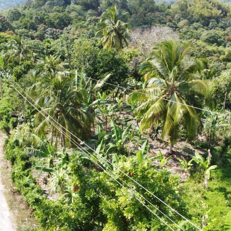 First image of Lambkin Hill/ Marlie in Lambkin Hill, St. Mary, Jamaica - property is For Sale
