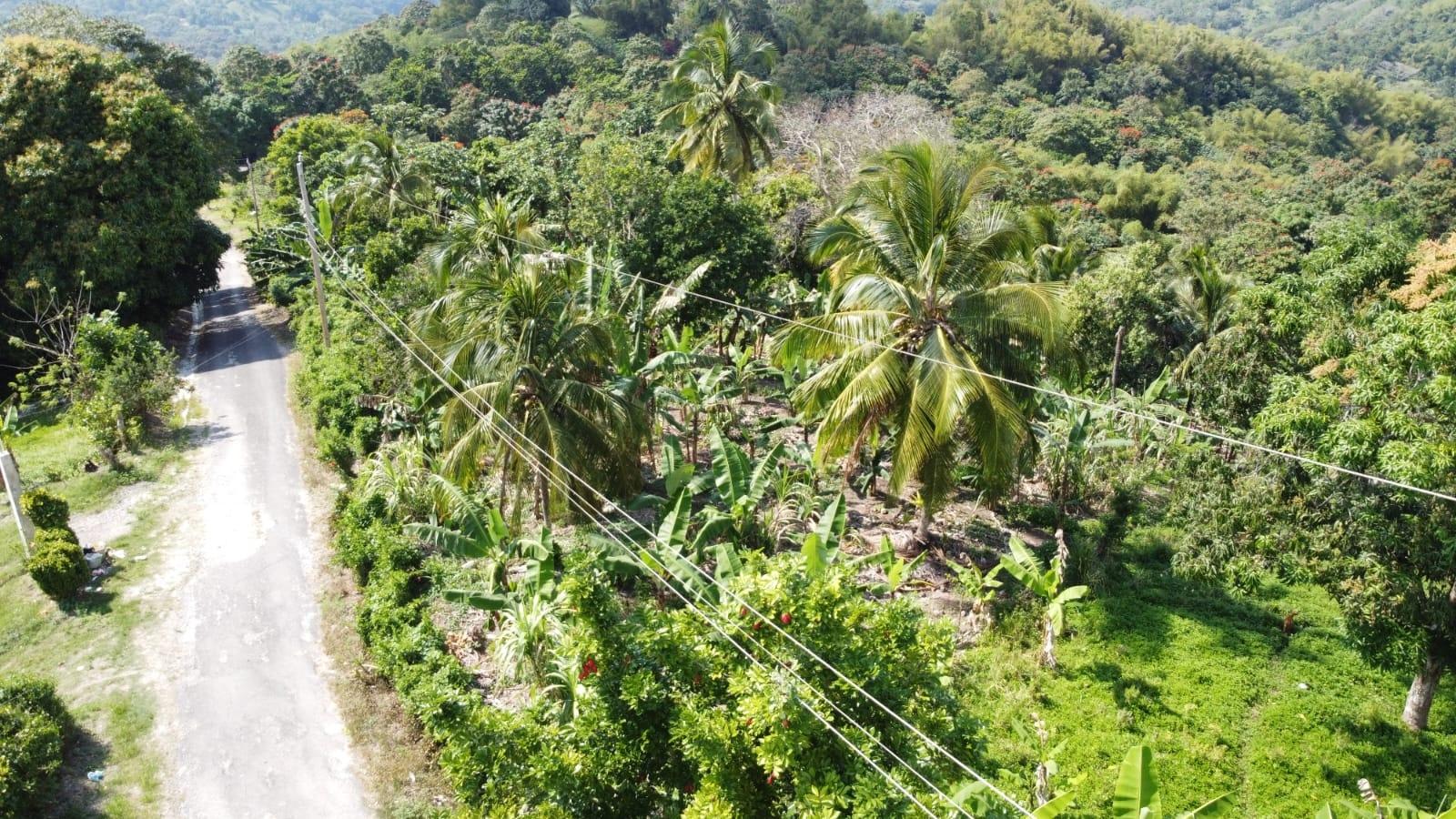 First image of Lambkin Hill/ Marlie in Lambkin Hill, St. Mary, Jamaica - property is For Sale