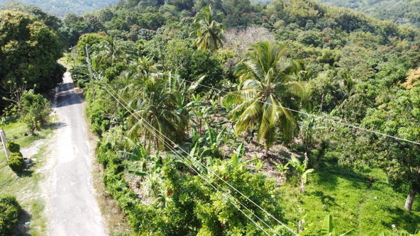 First image of Lambkin Hill/ Marlie in Lambkin Hill, St. Mary, Jamaica - property is For Sale