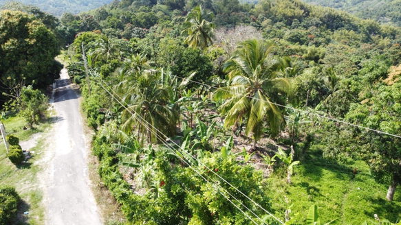 First image of Lambkin Hill/ Marlie in Lambkin Hill, St. Mary, Jamaica - property is For Sale