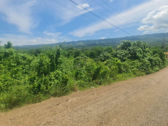 Third image of Northampton in Santa Cruz, St. Elizabeth, Jamaica - property is For Sale