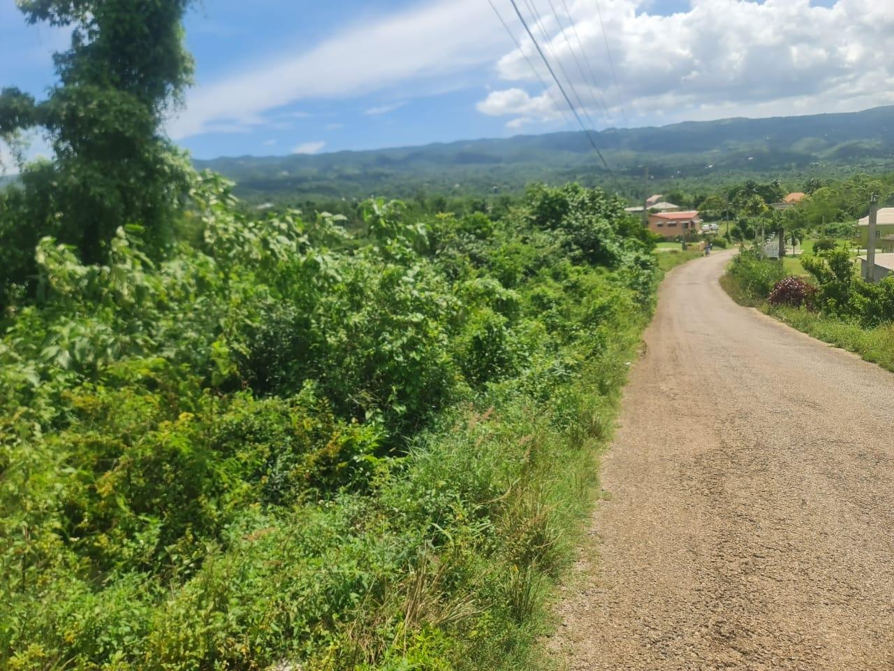 Fourth image of Northampton in Santa Cruz, St. Elizabeth, Jamaica - property is For Sale