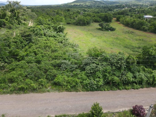 Fifth image of Northampton in Santa Cruz, St. Elizabeth, Jamaica - property is For Sale