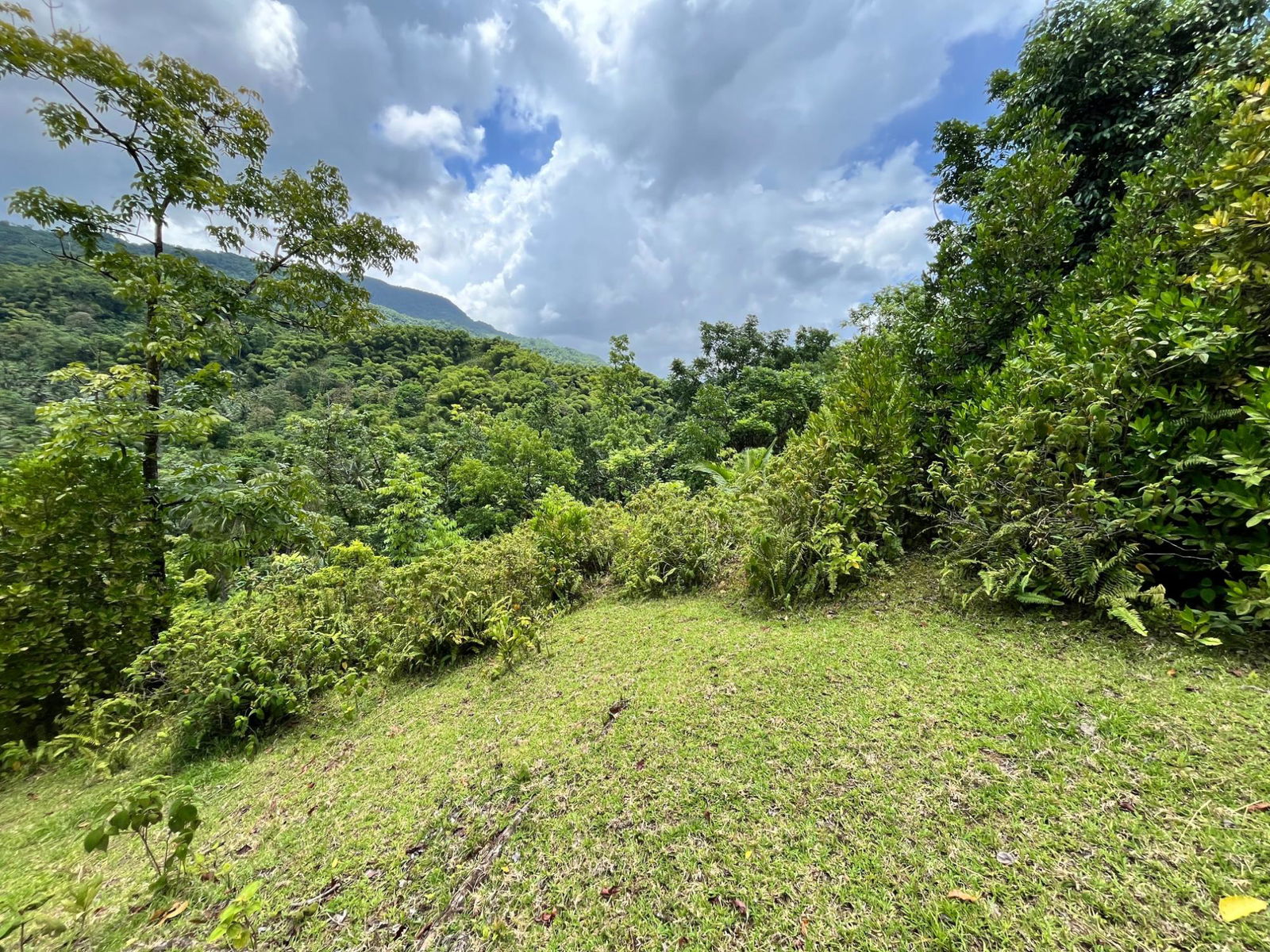 Second image of 116 & 117 Windsor, Rio Grande Pa, p in Windsor, Portland, Jamaica - property is For Sale