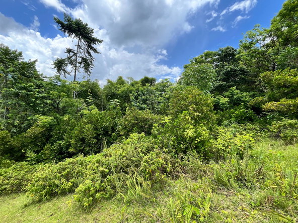 Third image of 116 & 117 Windsor, Rio Grande Pa, p in Windsor, Portland, Jamaica - property is For Sale