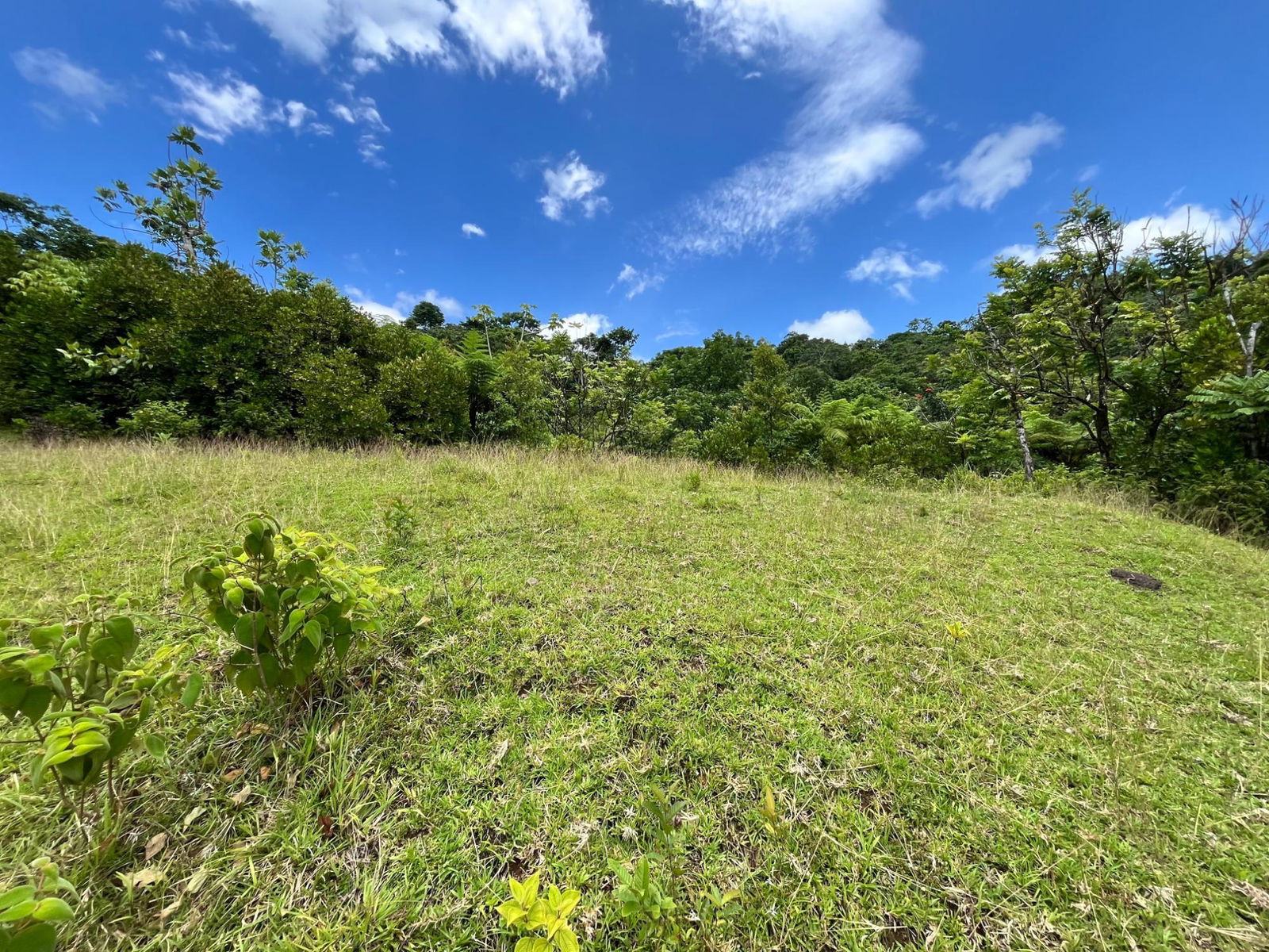 Fourth image of 116 & 117 Windsor, Rio Grande Pa, p in Windsor, Portland, Jamaica - property is For Sale