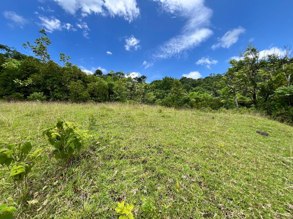 Fourth image of 116 & 117 Windsor, Rio Grande Pa, p in Windsor, Portland, Jamaica - property is For Sale